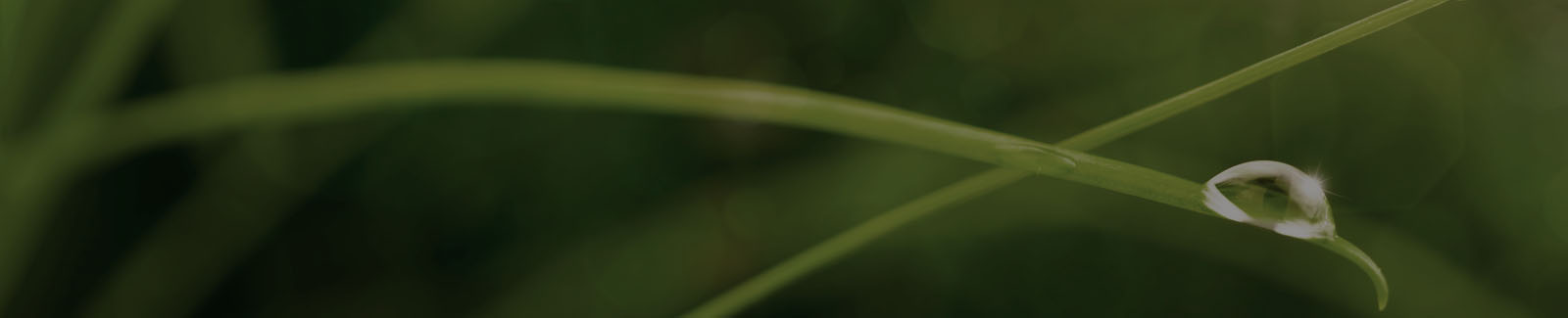 niagara green tourism